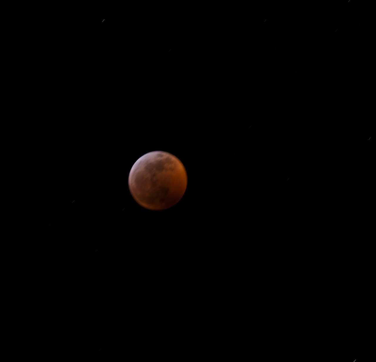 _DSC6865.jpg