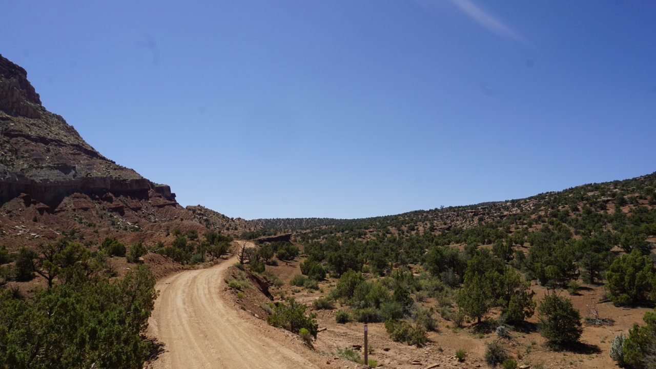 _DSC7423.jpg