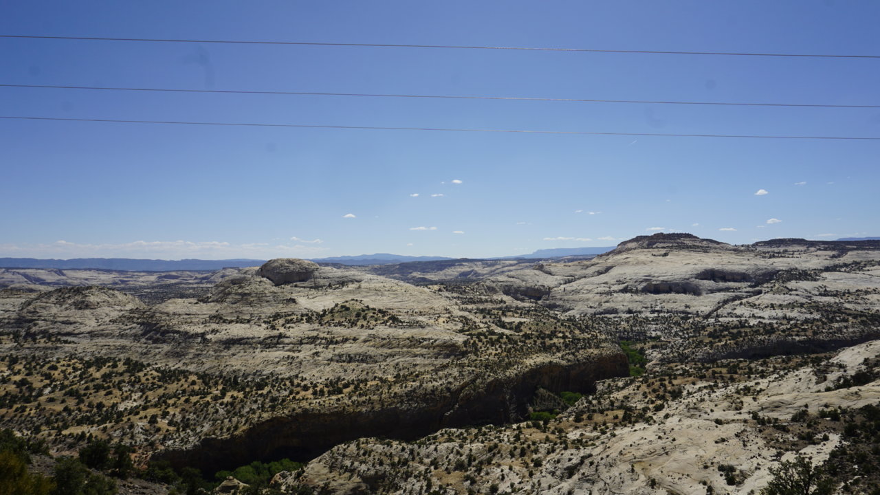 _DSC7432.jpg