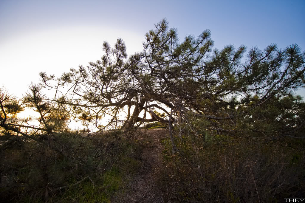 _DSC7985_61b78d9eecabdfdbc0d7e643bdf945344dc333cb.jpg