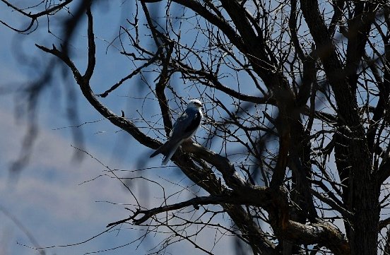 _DSC8329.jpg