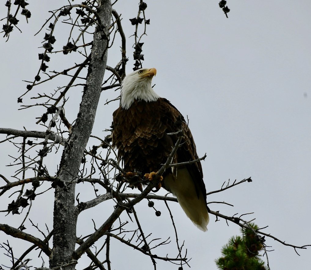 _DSC8369.jpg