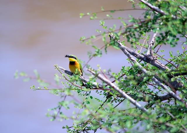 _DSC8594_zpsvvfyuqlo_07d236c9c7322c62bdc7aa12bad0d5255397ba05.jpg