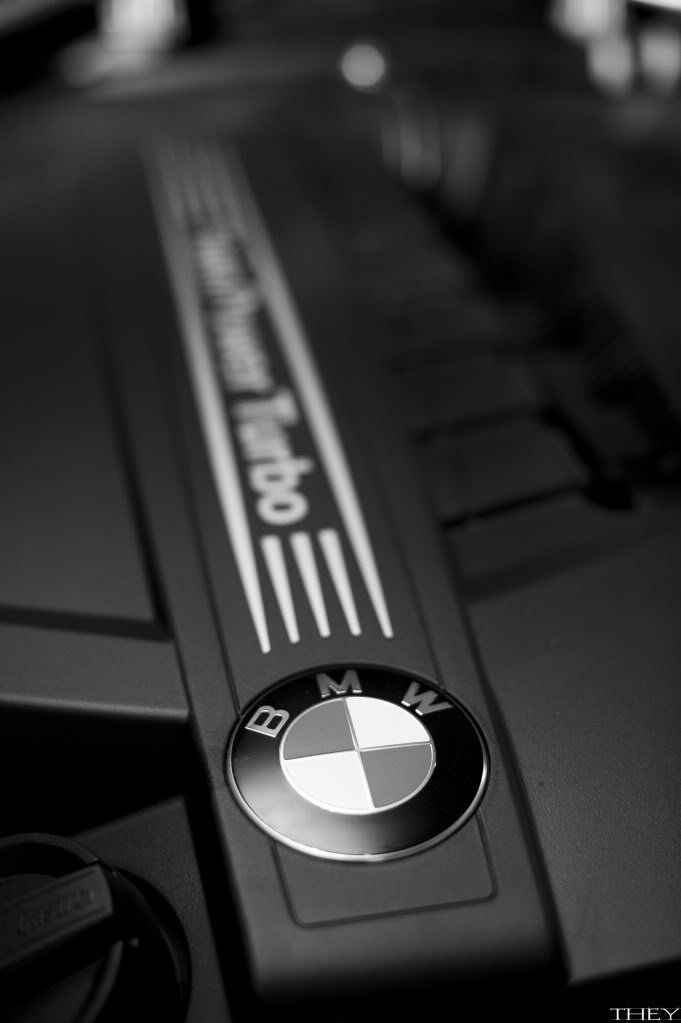 _DSC8646_398a3d26461c562a9a87fe0613a8c1da9a10b95b.jpg