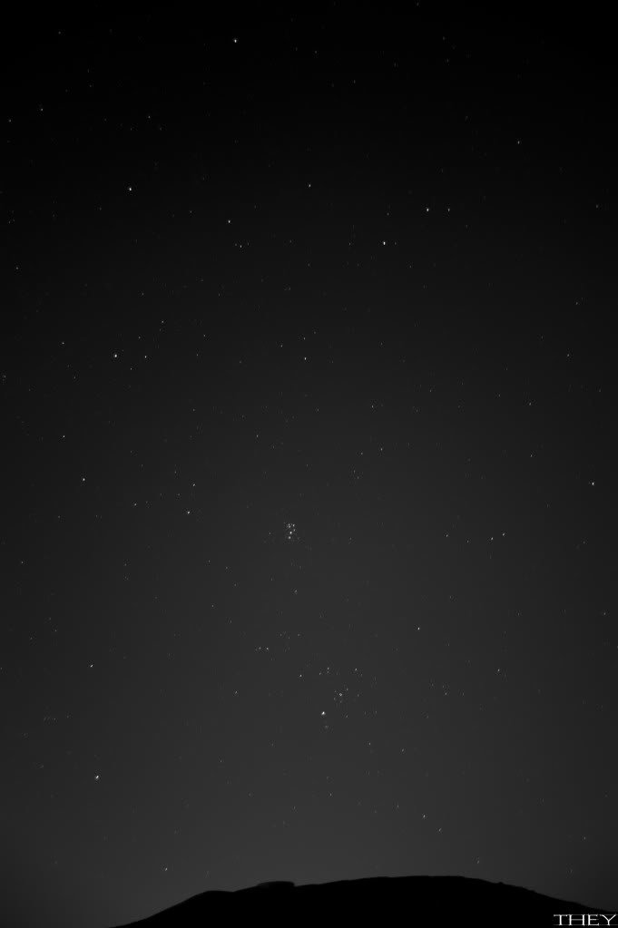 _DSC8847_0cd970de1fb30d035d3324e05b526ed439b53f56.jpg