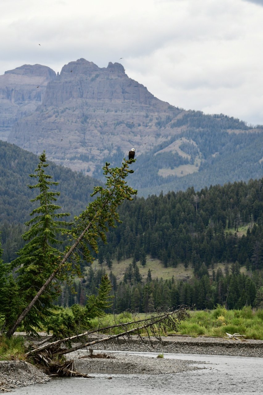 _DSC9137.jpg