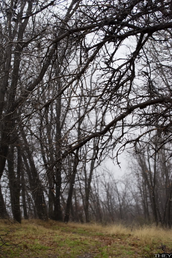 _DSC9430_7f551821ee724b4316bb9ea9ce84c4a44de3b077.jpg