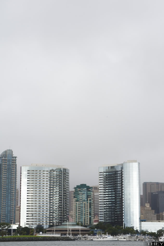 _DSC9733_91c4f5309370ce0006ccc38bb2d34df5fe9d421a.jpg
