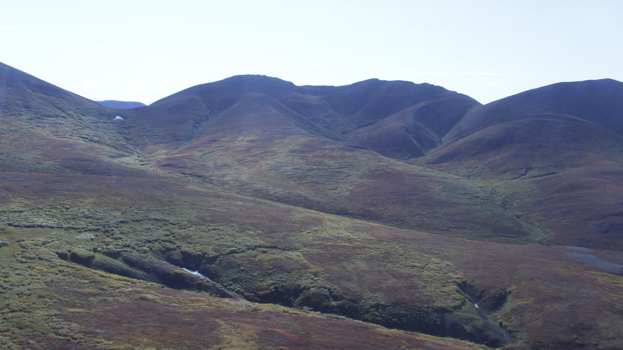 _MG_0201.jpg