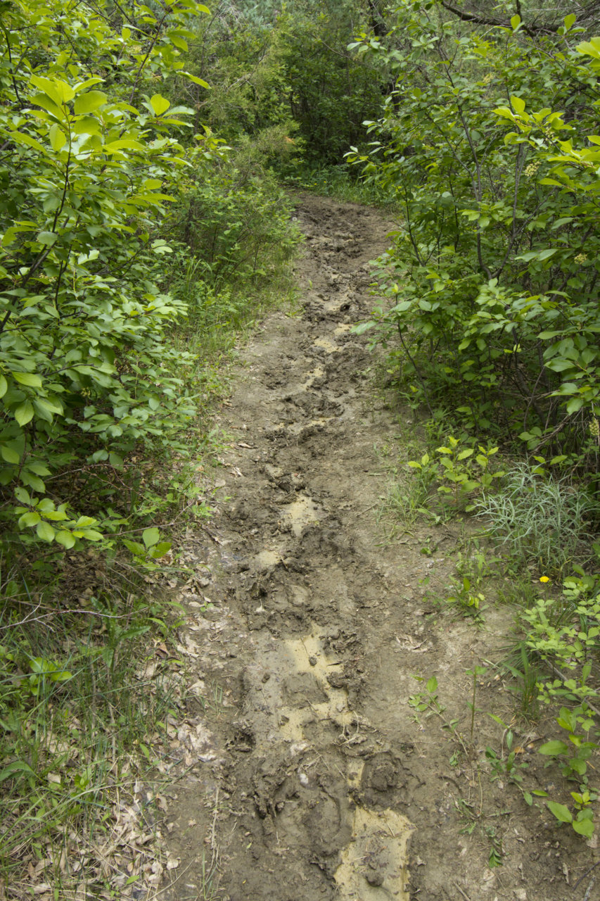 _MG_0384.jpg