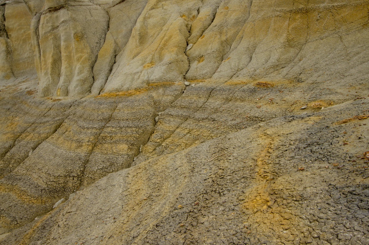 _MG_0441.jpg