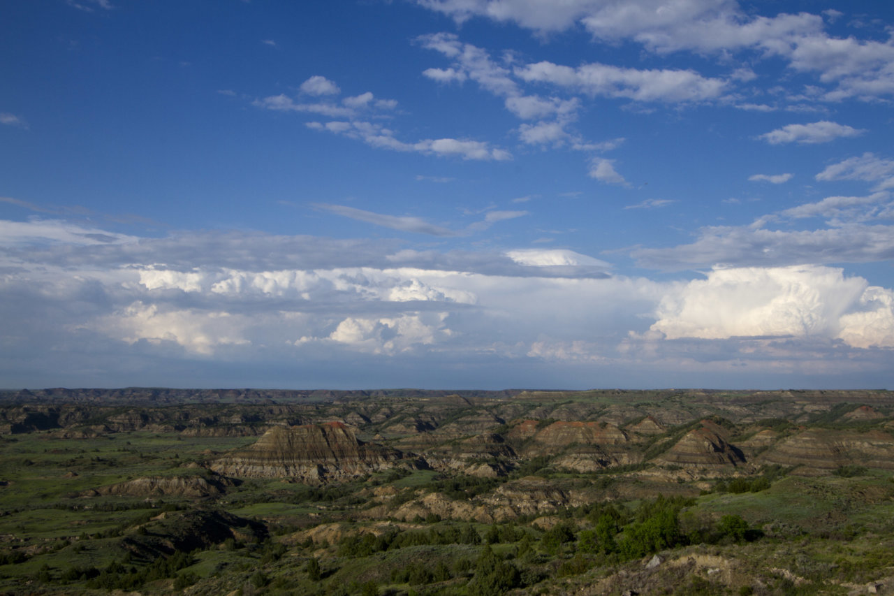 _MG_0506.jpg