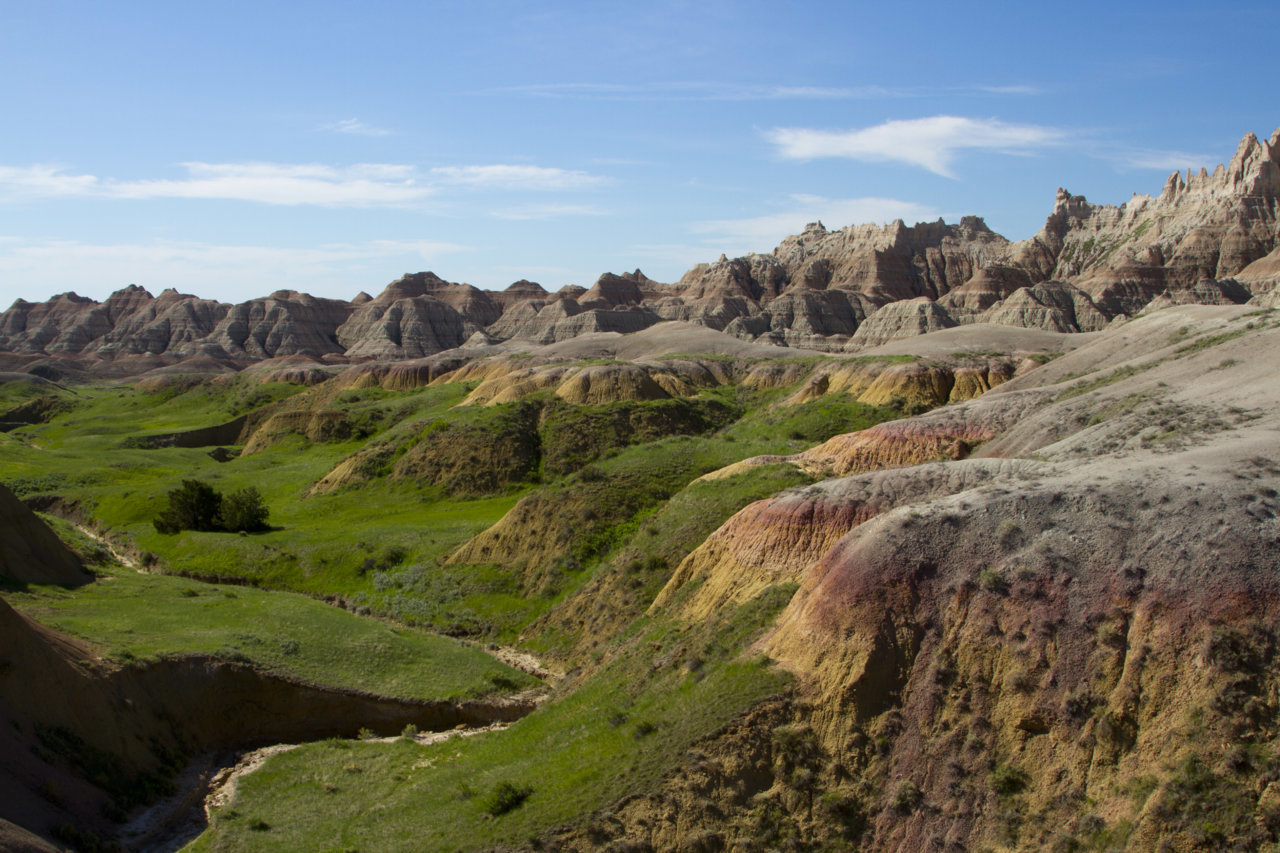 _MG_0981.jpg