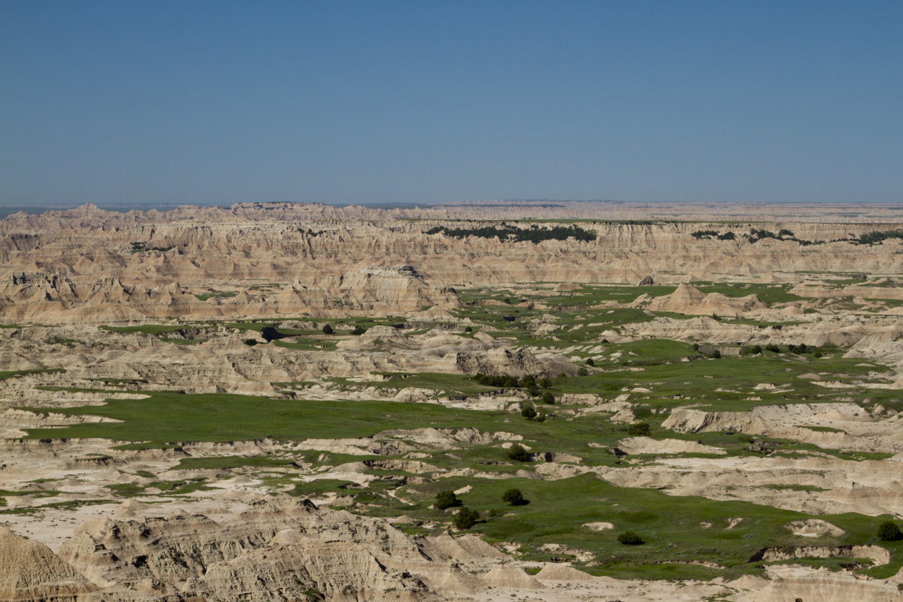 _MG_0998.jpg