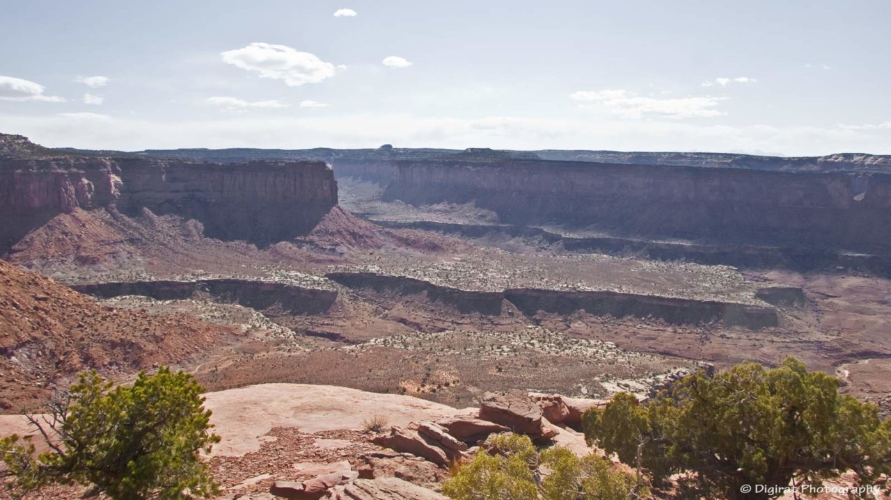 _MG_1445.jpg