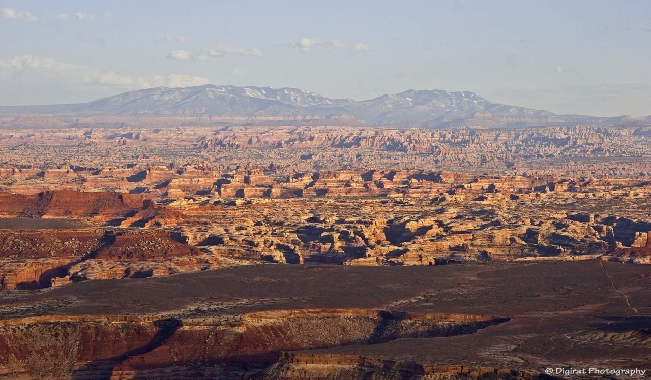 _MG_1456.jpg