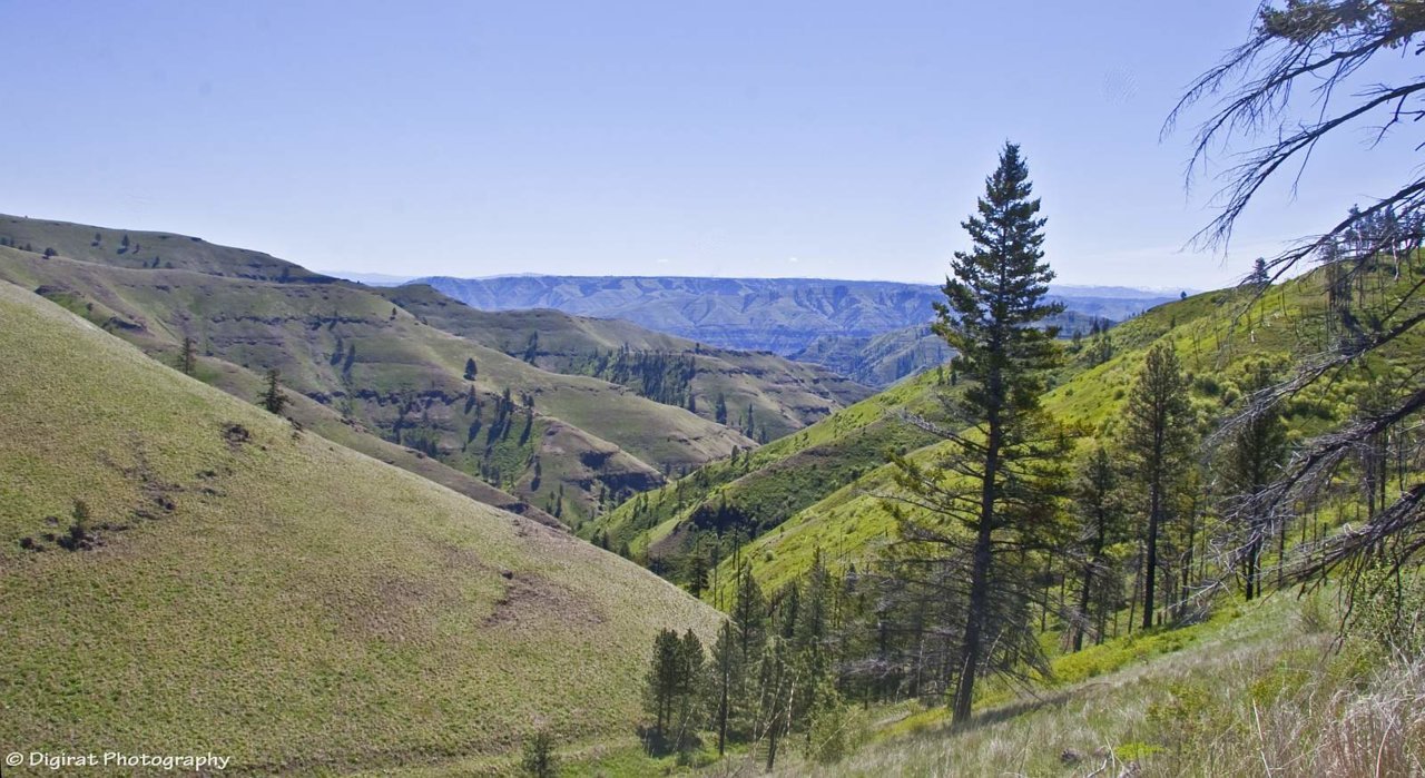 _MG_1564.jpg