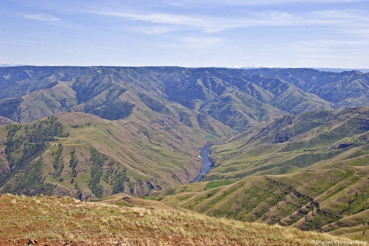 _MG_1584.jpg