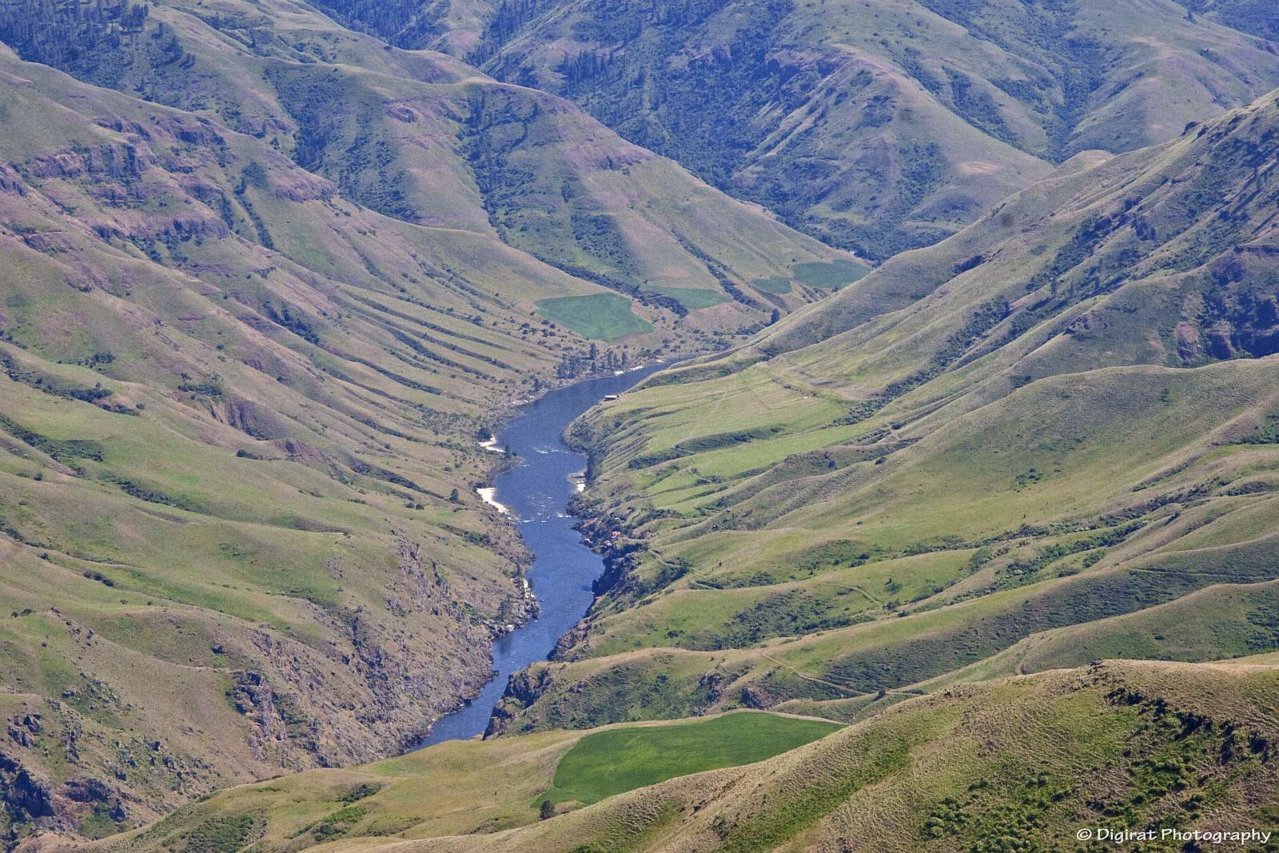 _MG_1585.jpg