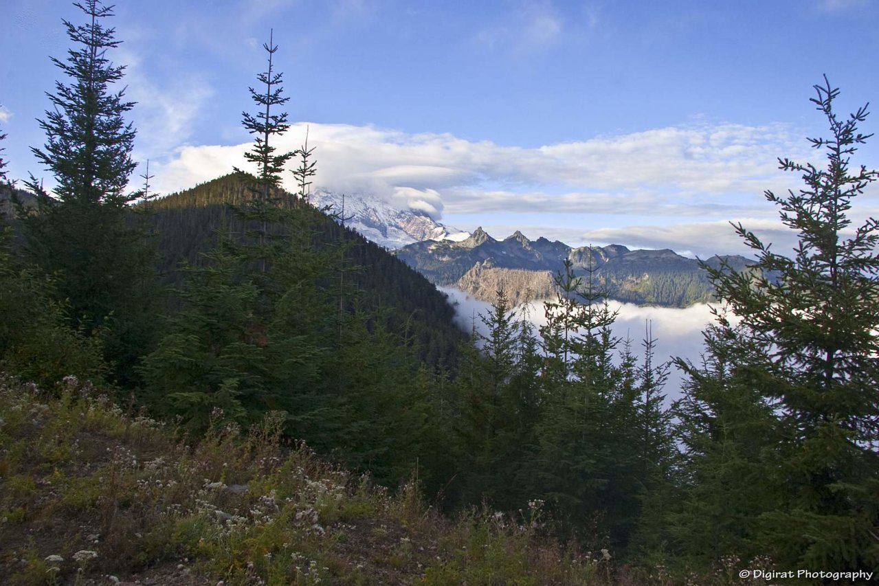 _MG_1727.jpg