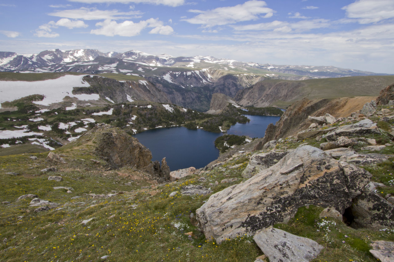 _MG_2412.jpg