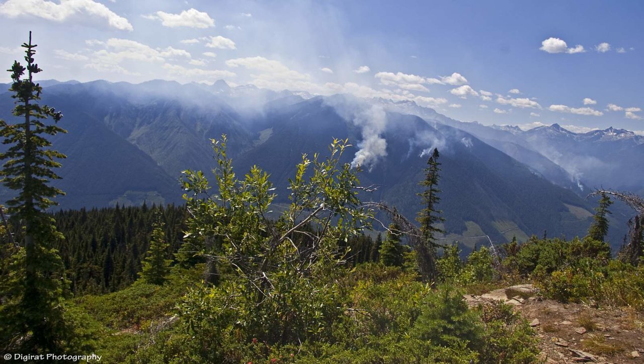_MG_2416.jpg