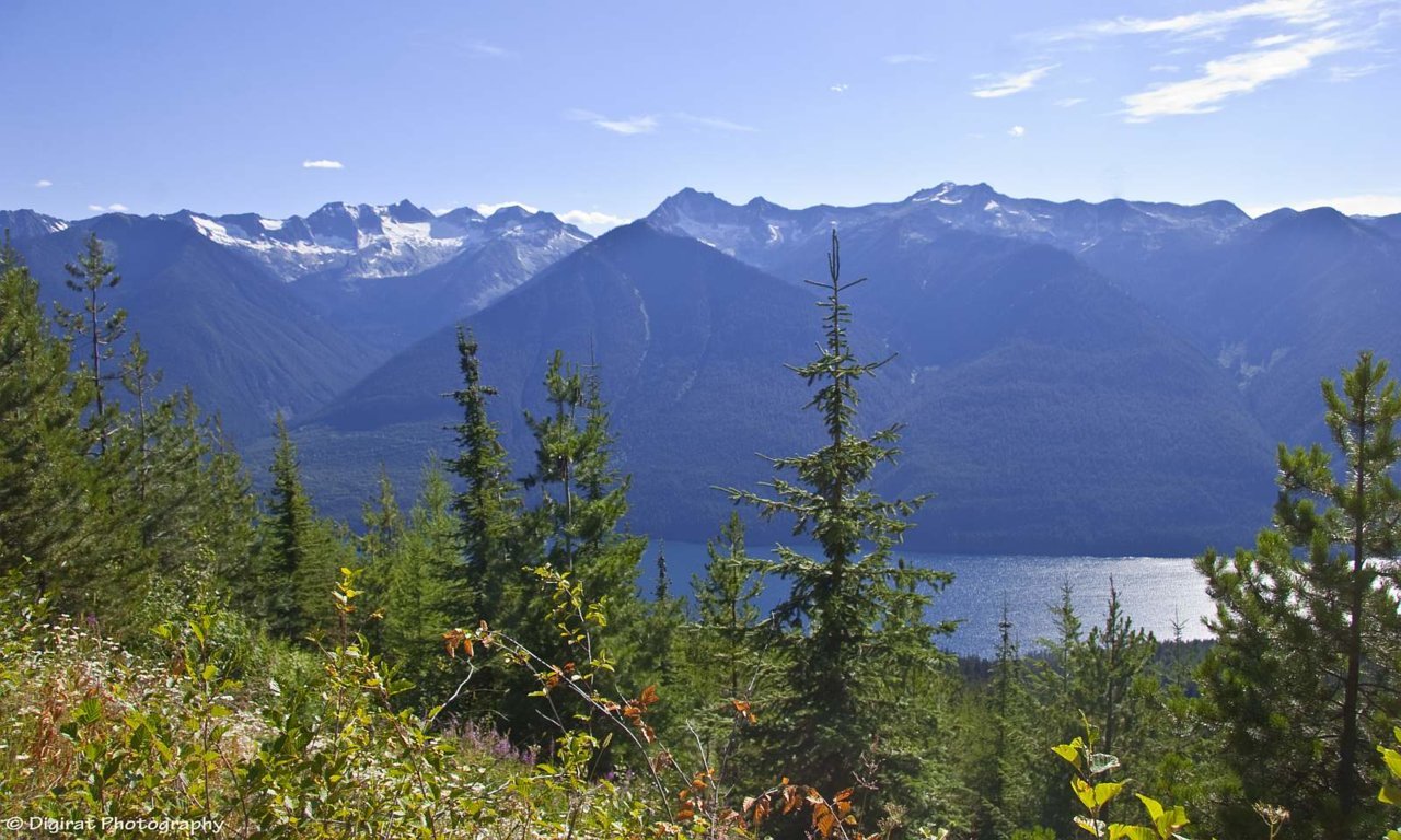 _MG_2427.jpg