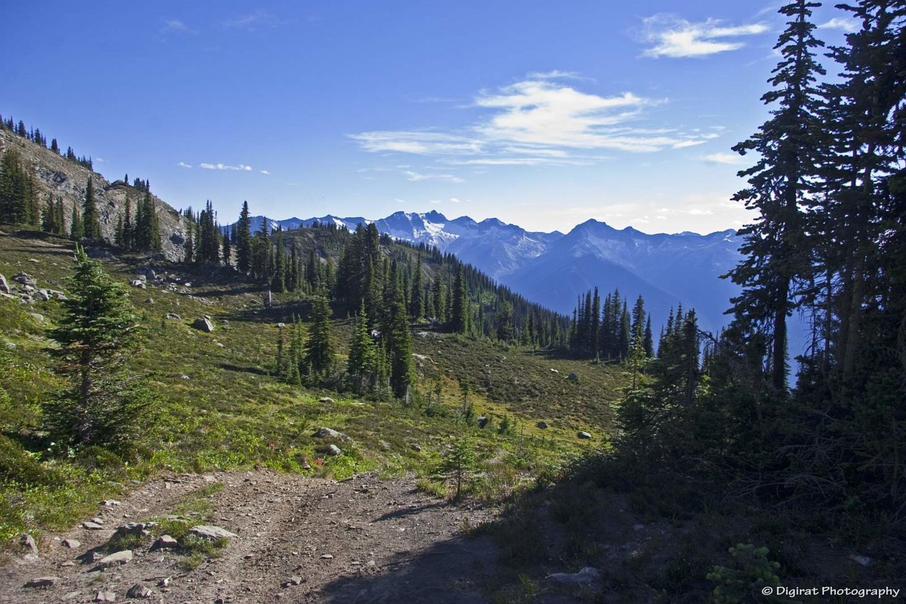 _MG_2445.jpg