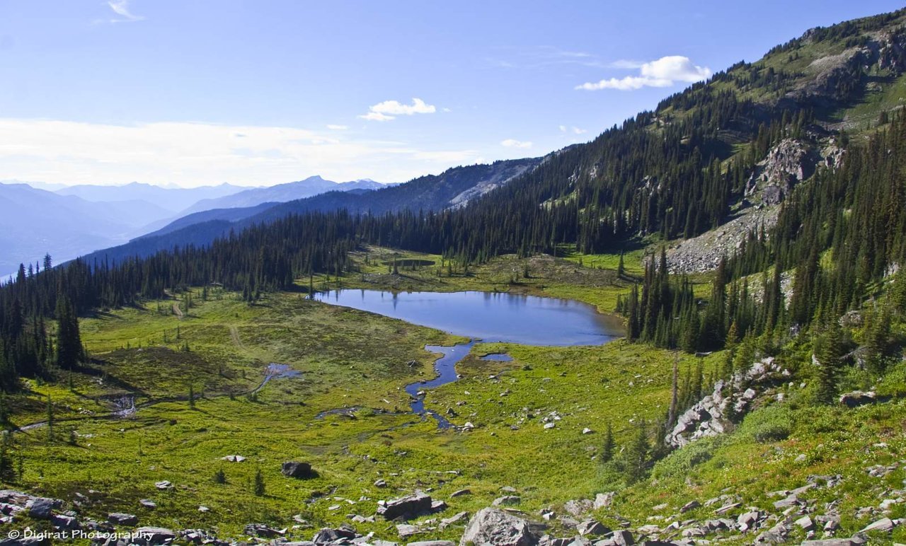_MG_2454.jpg