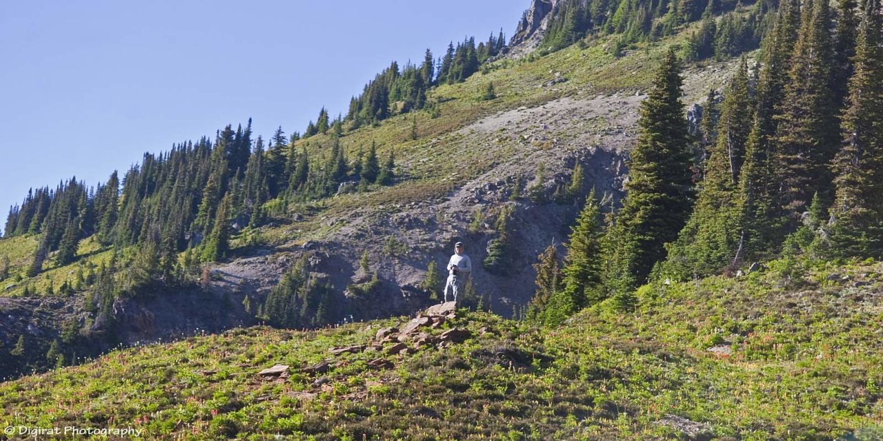 _MG_2456.jpg