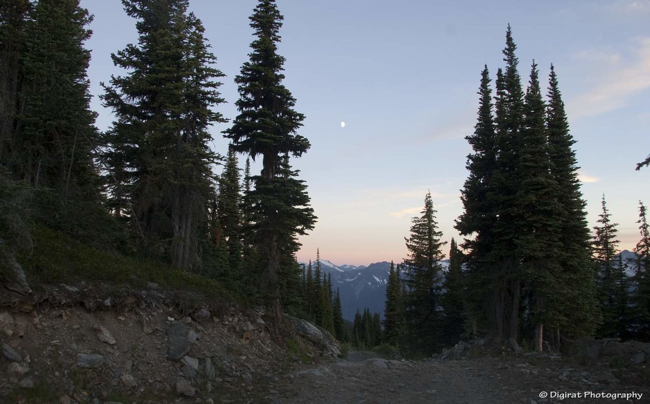 _MG_2473.jpg