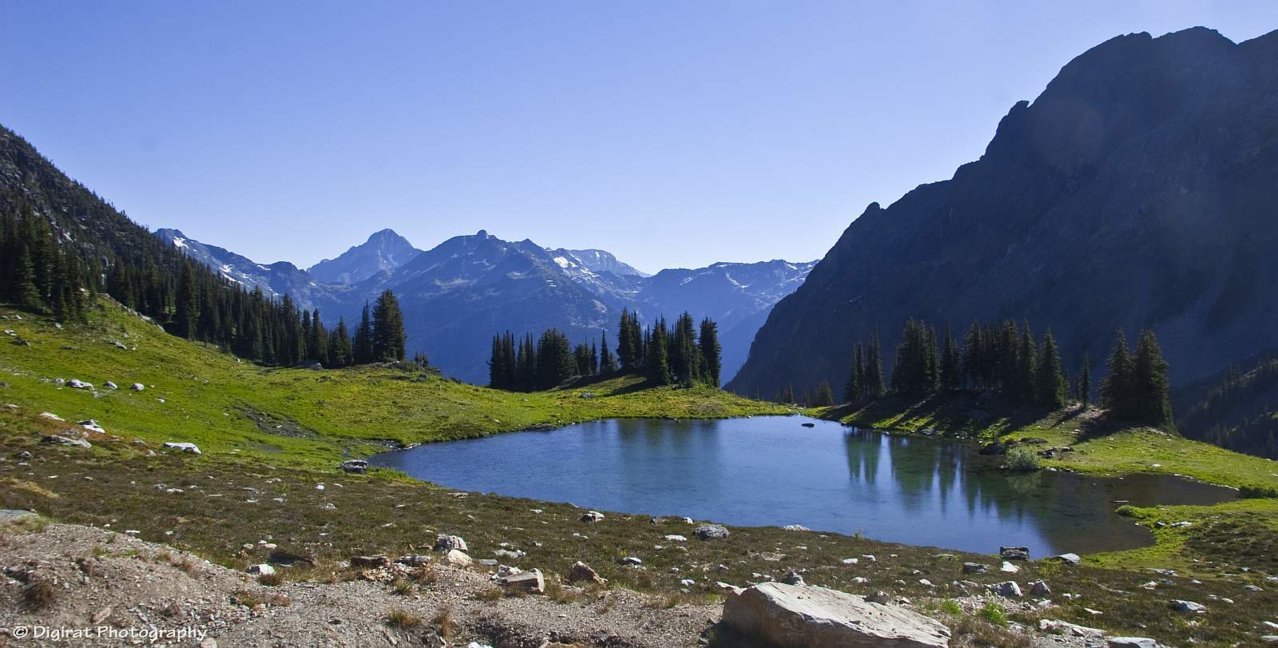 _MG_2488.jpg