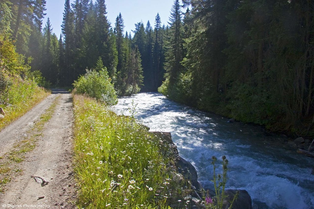 _MG_2507.jpg