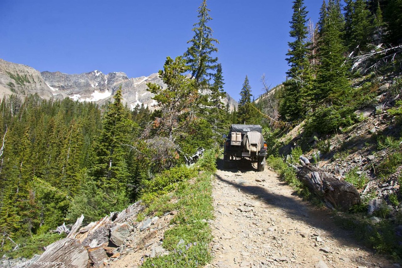 _MG_2540.jpg