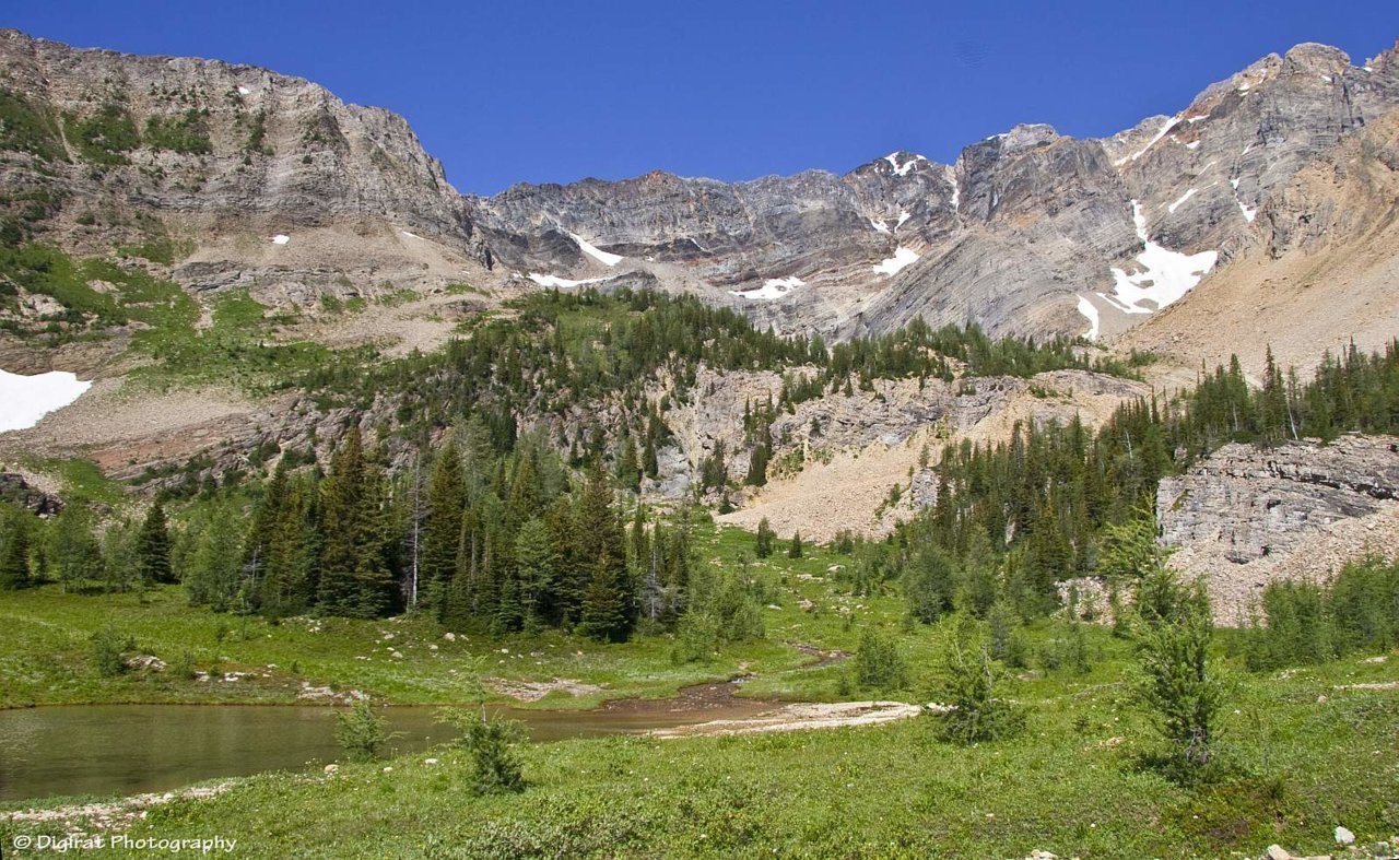 _MG_2544.jpg