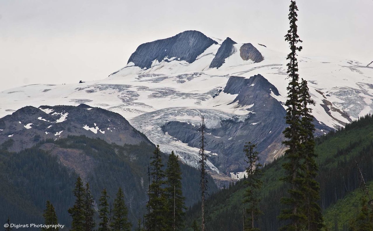 _MG_2584.jpg