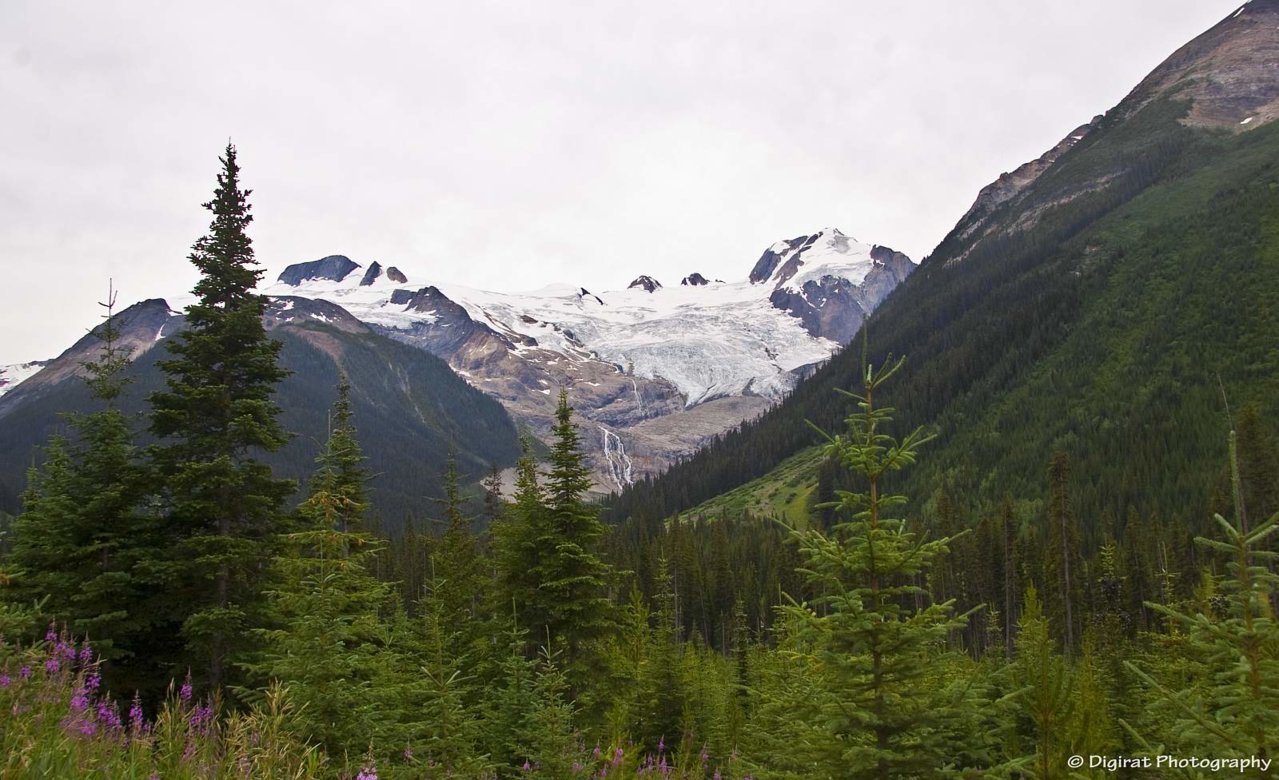 _MG_2589.jpg