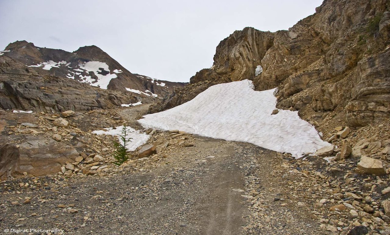 _MG_2624.jpg