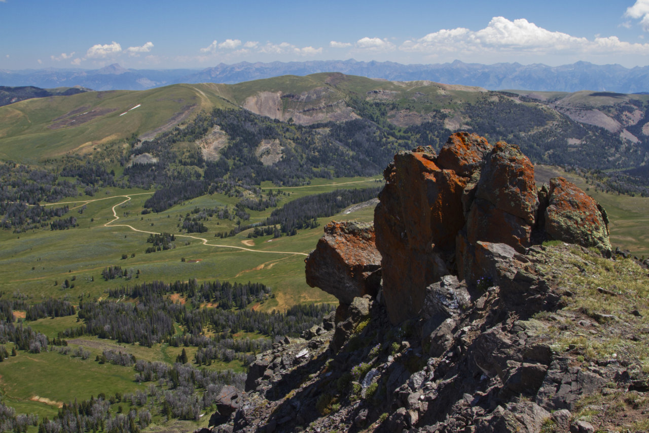 _MG_2625.jpg