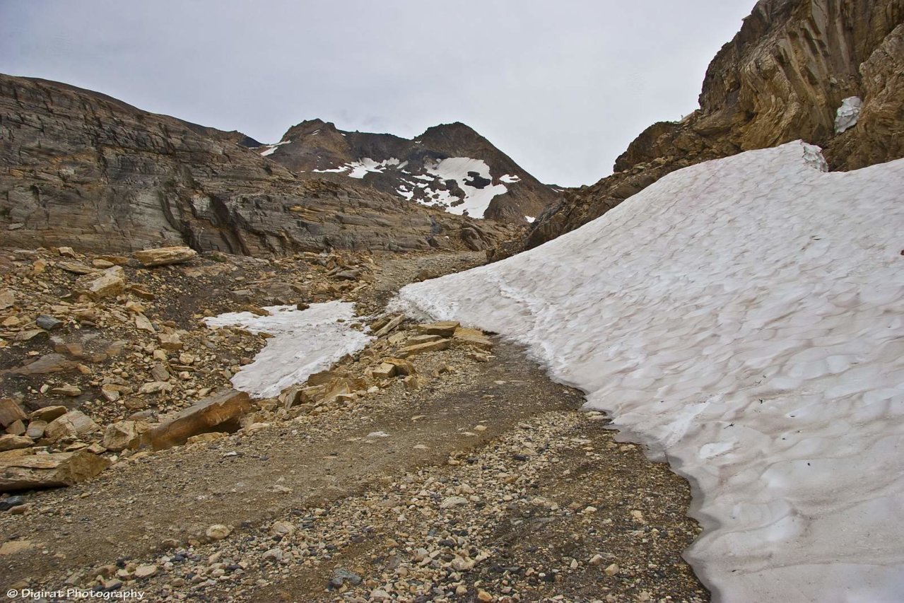 _MG_2628.jpg