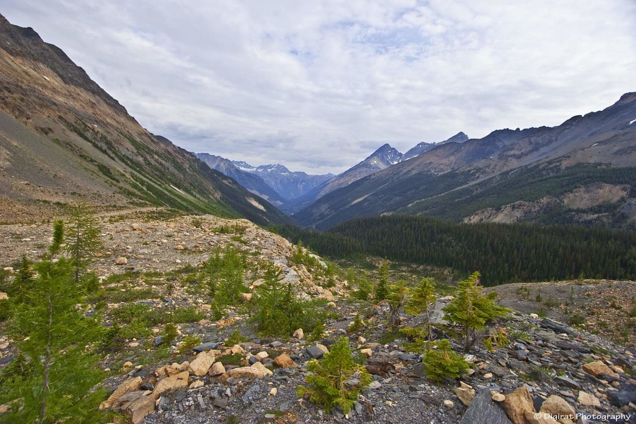 _MG_2644.jpg