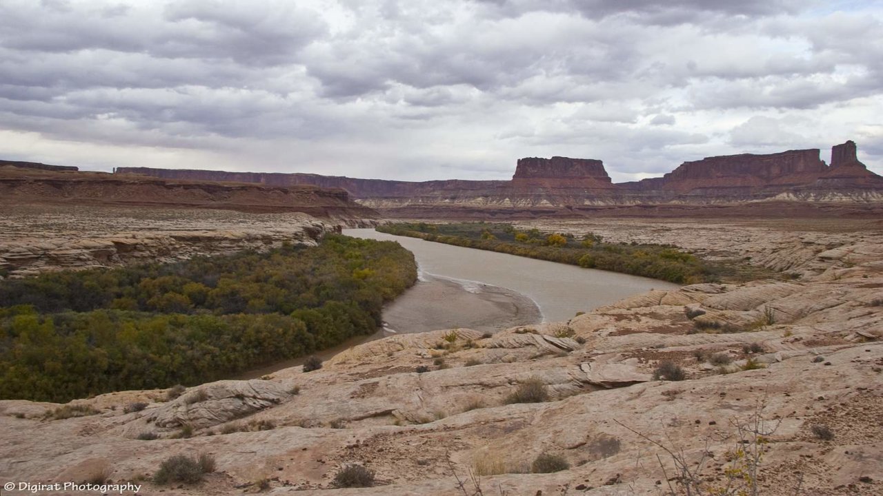 _MG_2950.jpg