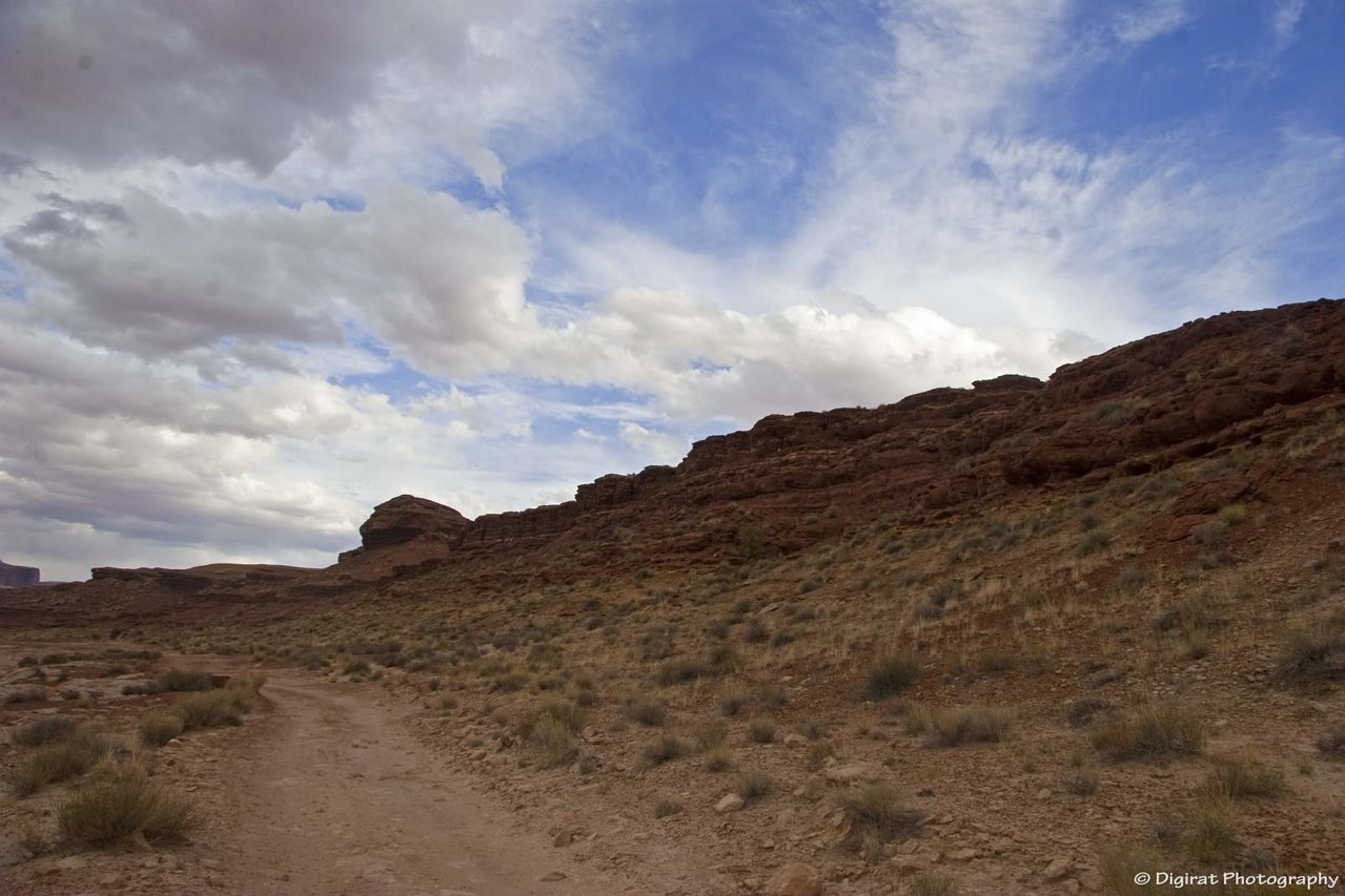 _MG_2953.jpg