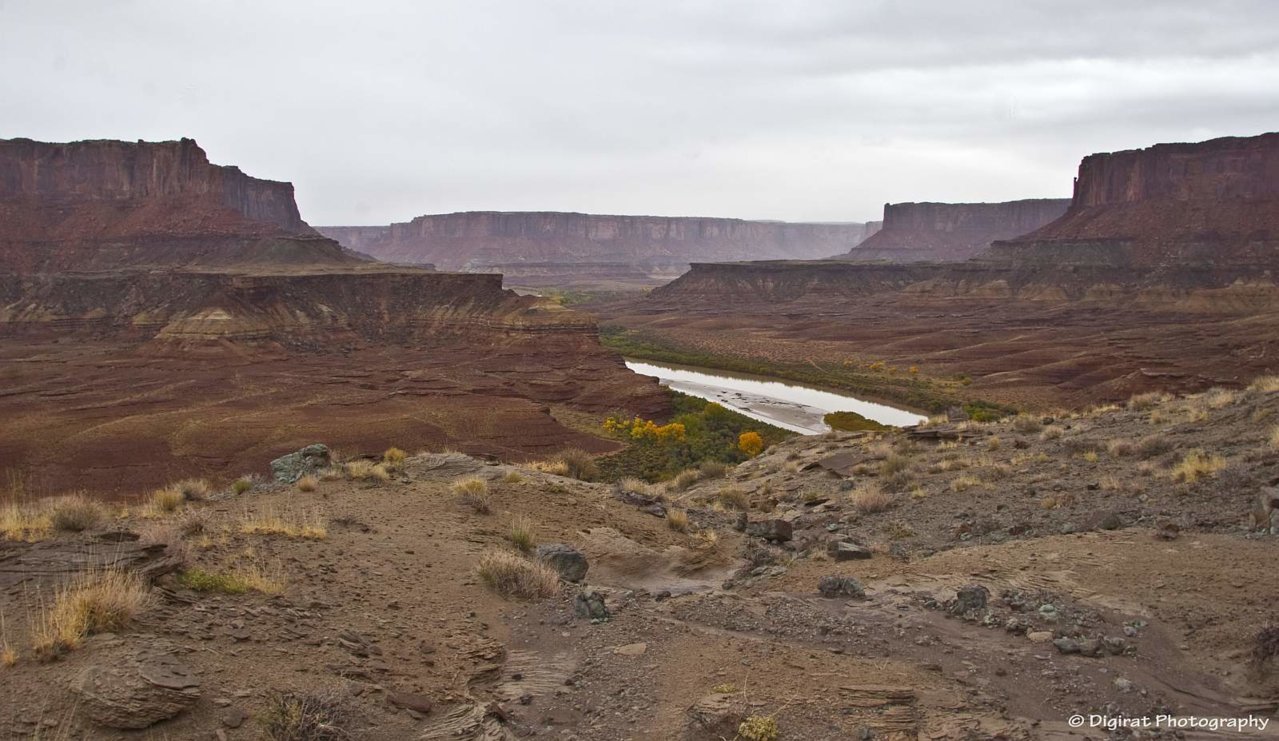 _MG_2954.jpg