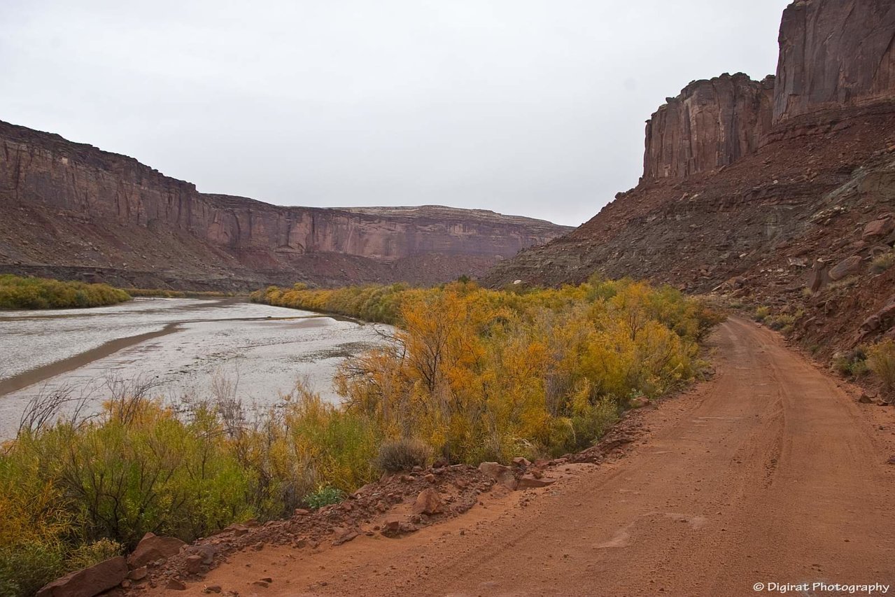 _MG_2971.jpg