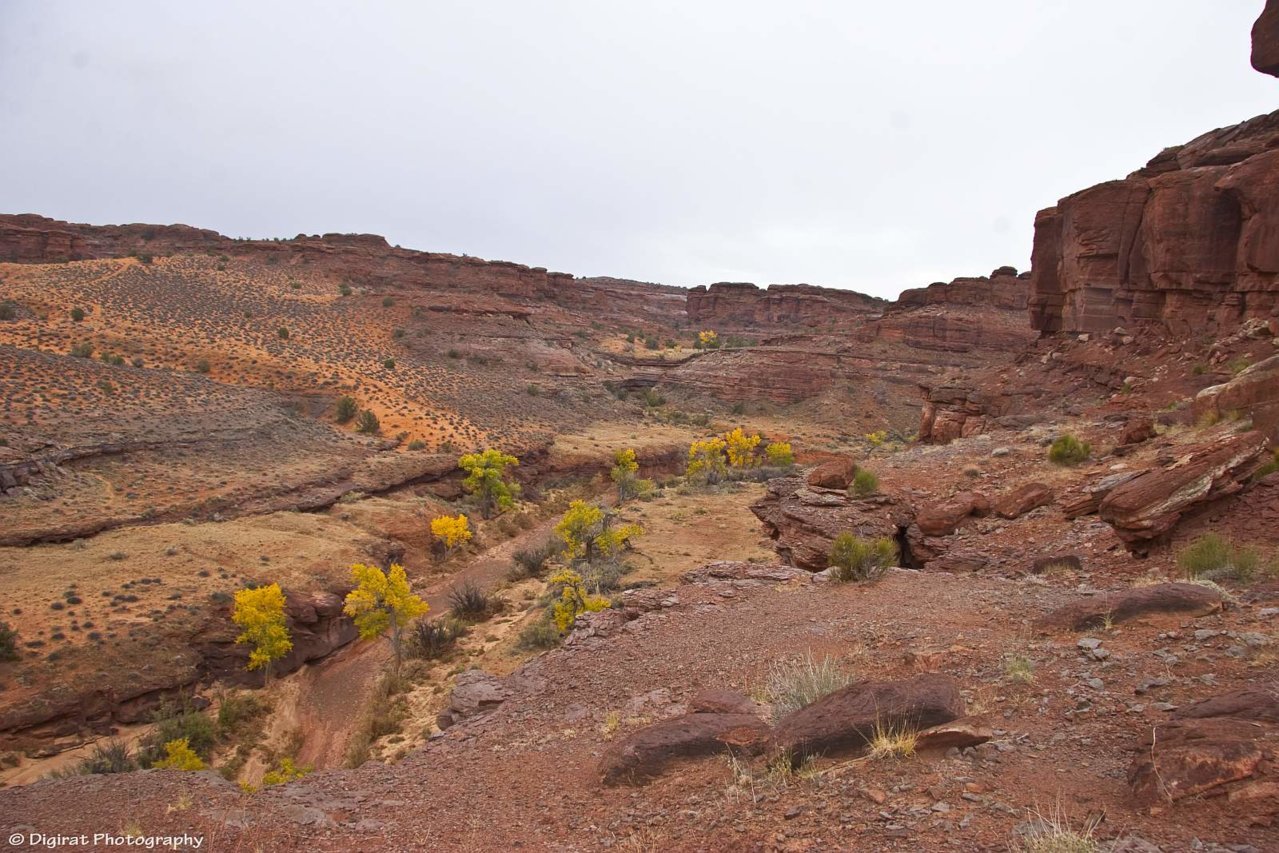 _MG_2980.jpg