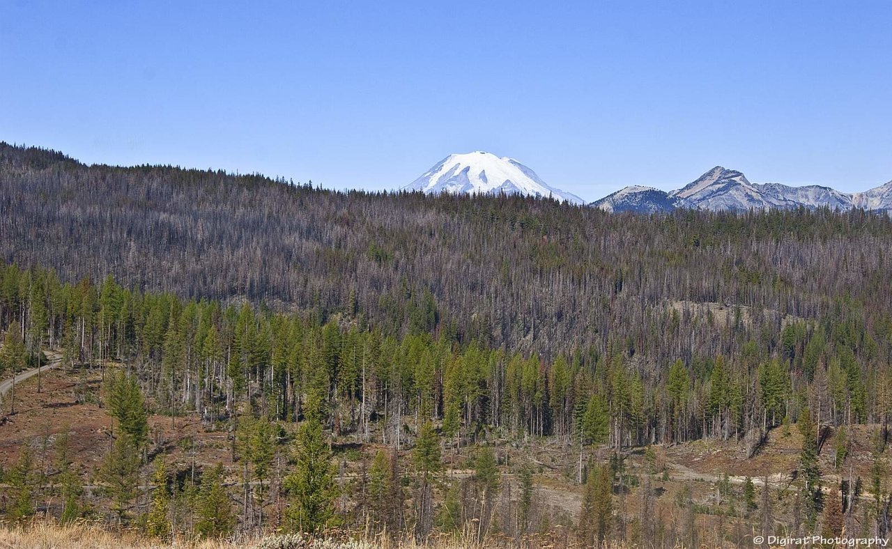 _MG_3232.jpg