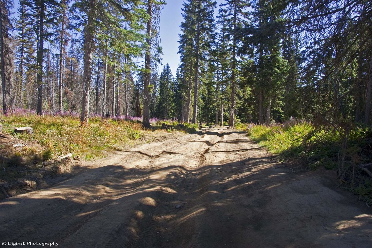 _MG_3234.jpg