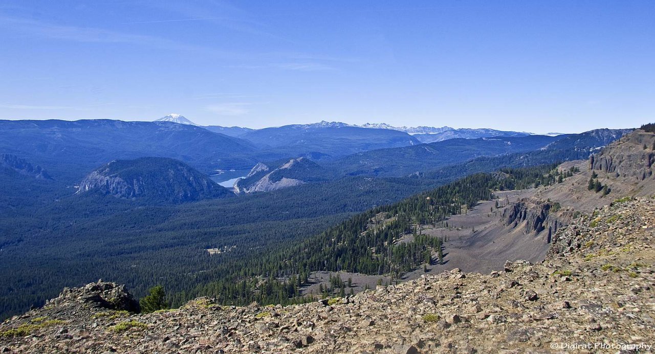 _MG_3237.jpg