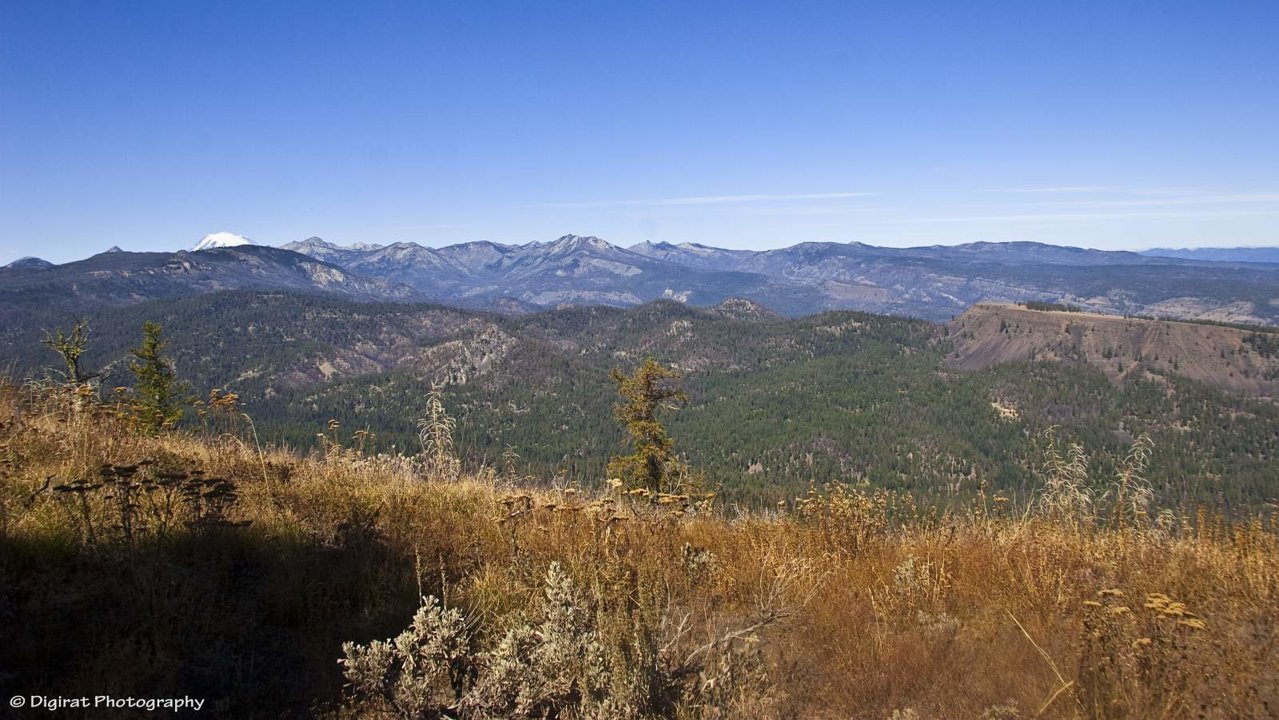 _MG_3248.jpg